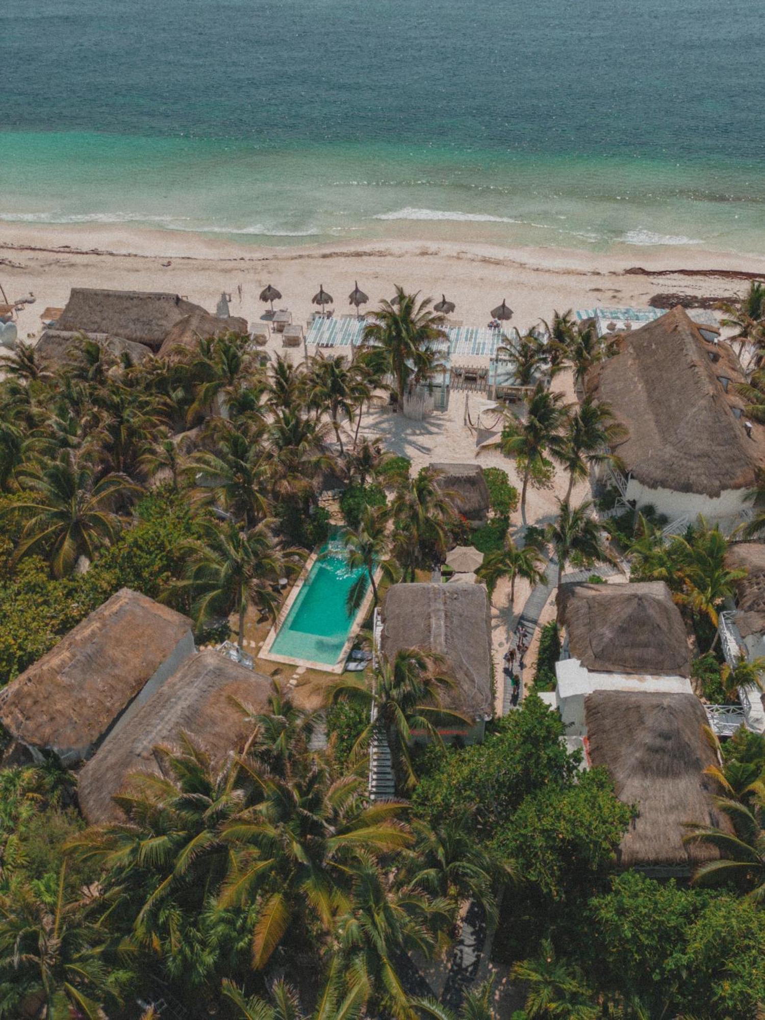 Coco Unlimited Hotel Tulum Pueblo Buitenkant foto
