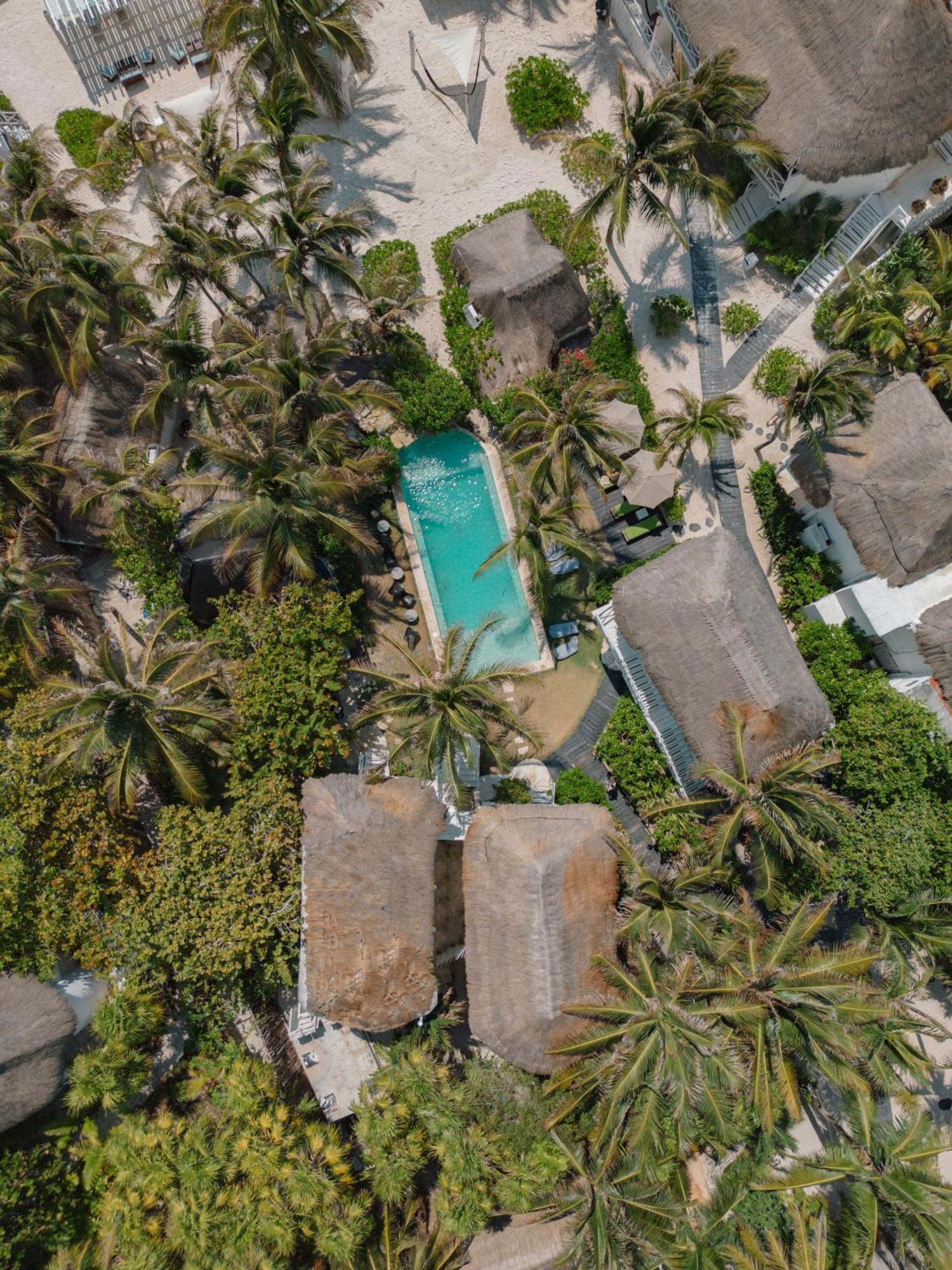 Coco Unlimited Hotel Tulum Pueblo Buitenkant foto